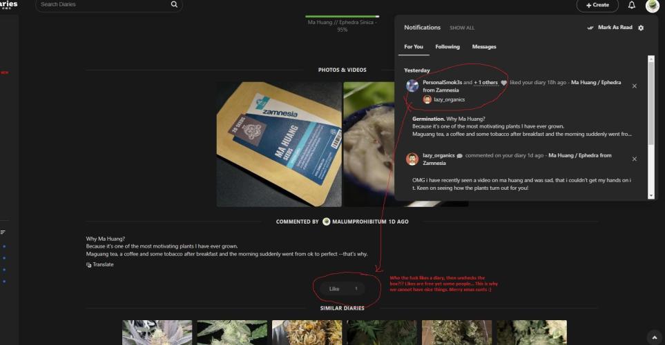 Ma Huang / Ephedra Sinica. Week 0 - lazy_organics u fucking snake xD