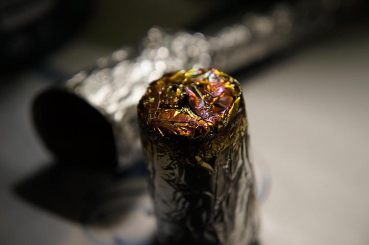 🔞Papaver Somniferum VI. Week 19