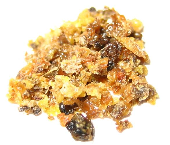 🔞Papaver Somniferum VI. Week 19