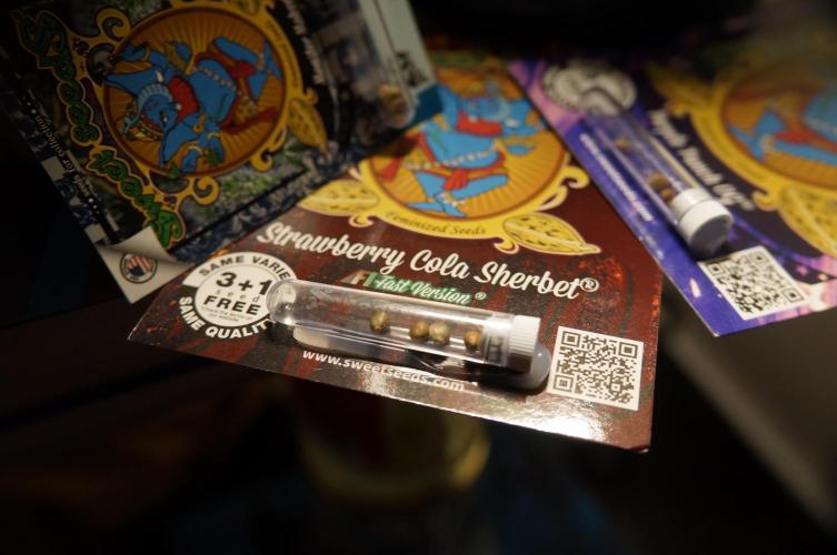 Strawberries & Cola 🍓🥤. Week 0