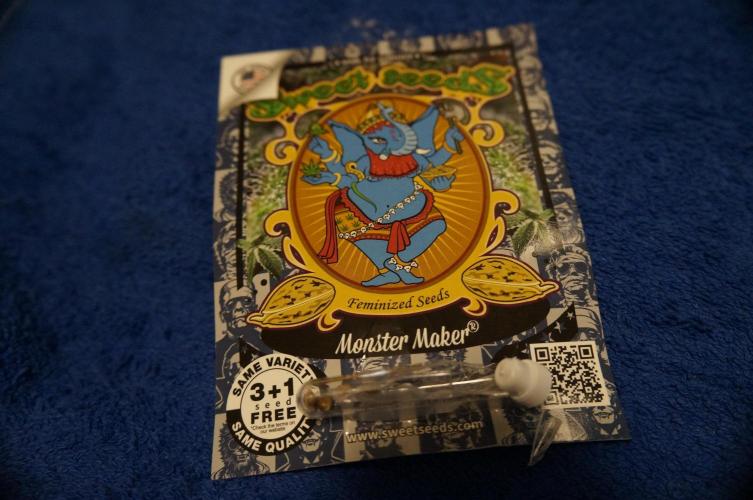 Making a Monster 👾🗿. Week 0