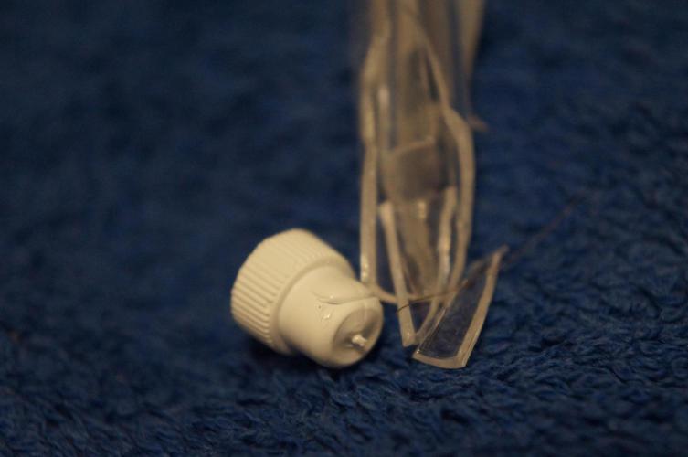 Making a Monster 👾🗿. Week 0