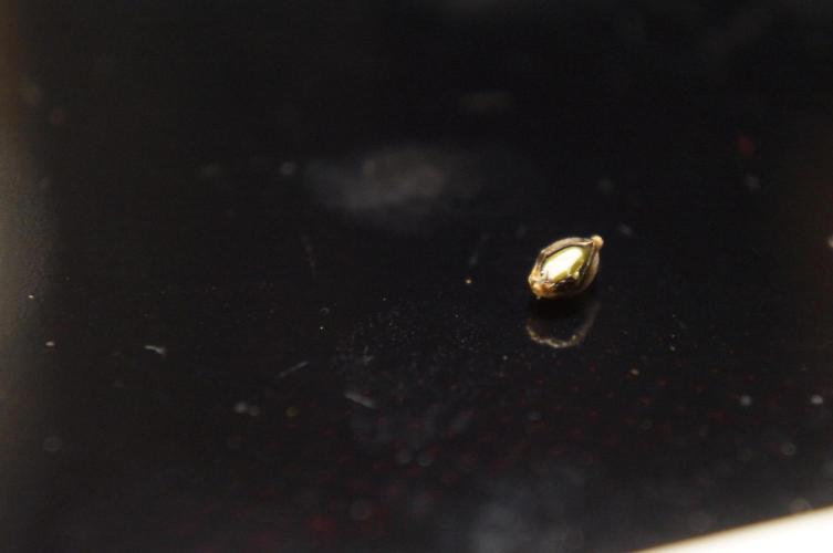 Making a Monster 👾🗿. Week 0