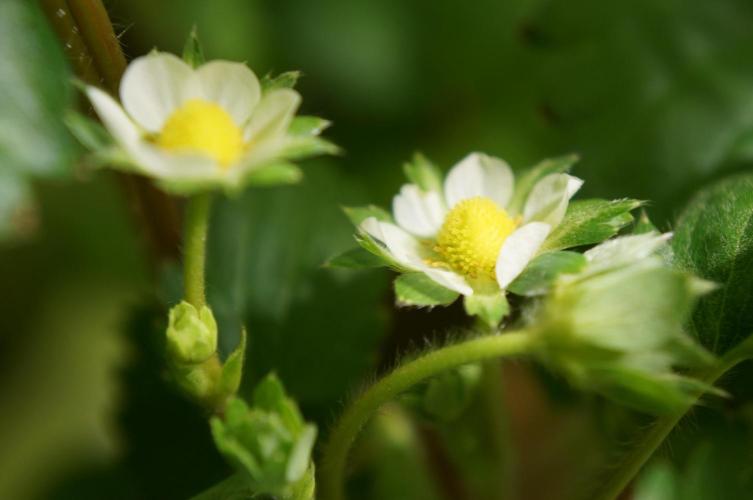 Making a Monster 👾🗿. Week 0