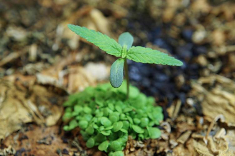 Future #1🎵. Week 2