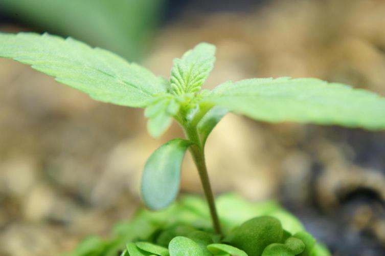 Future #1🎵. Week 2