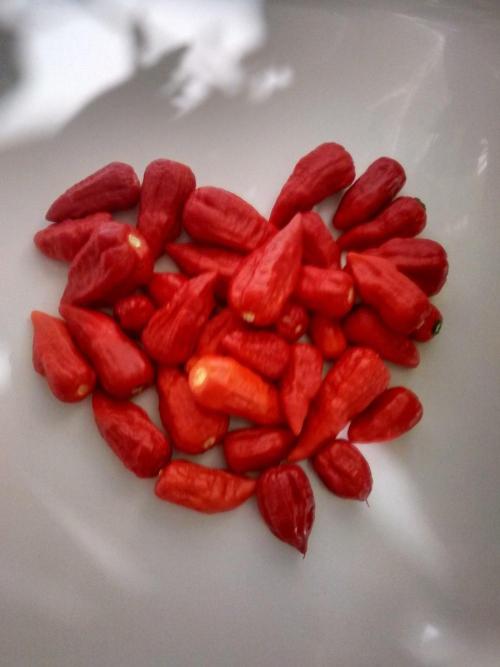 CBD Blue Shark🍌🤬⚧🏴‍☠️. Week 15 - chili collected to form a heart