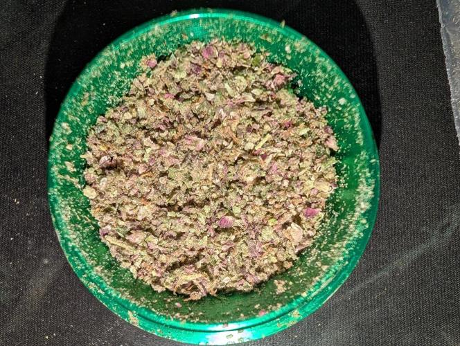 Fritter Fondue DWC. Week 10