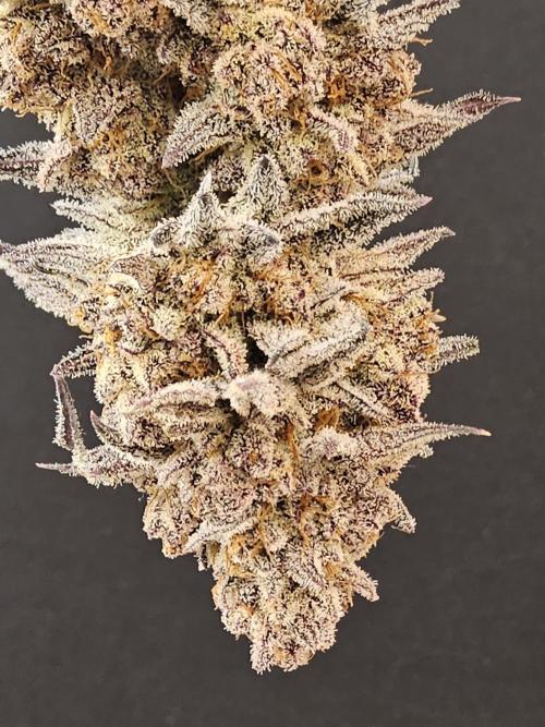 White MSNL. Week 17 - Grown last year... Animal Face 😍 