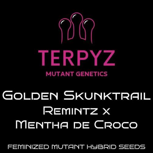 Freaky Skunk. Week 0