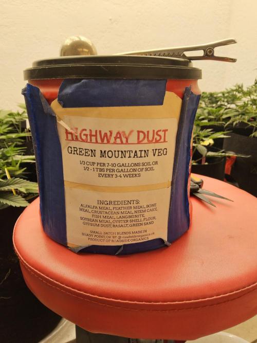 Freaky Croco. Week 5