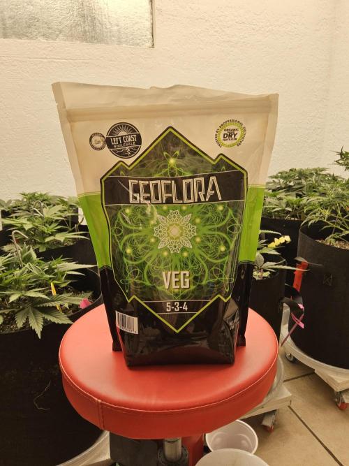 Freaky Cheese. Week 5