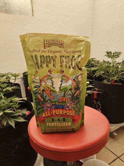 Pure go fast. Week 4