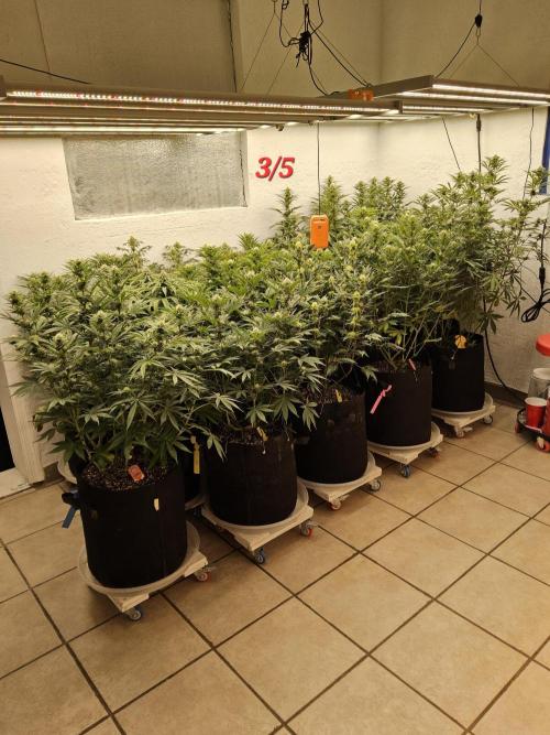 Fast Mystery. Week 12