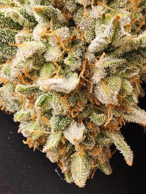 Fast Mystery. Week 19