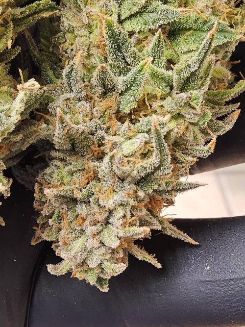 Fast Mystery. Week 19