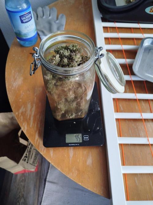 2nd grow Indoor. Week 14