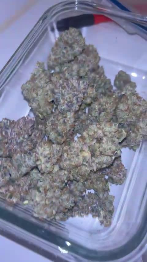 Permafunk - FEMINIZED - Compound Genetics