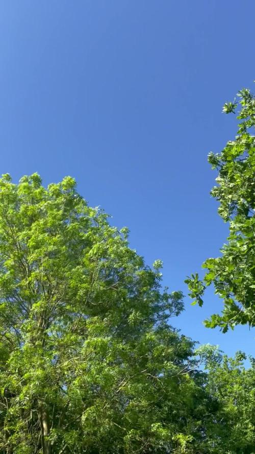 🍬Sweet Zenzation 🍬