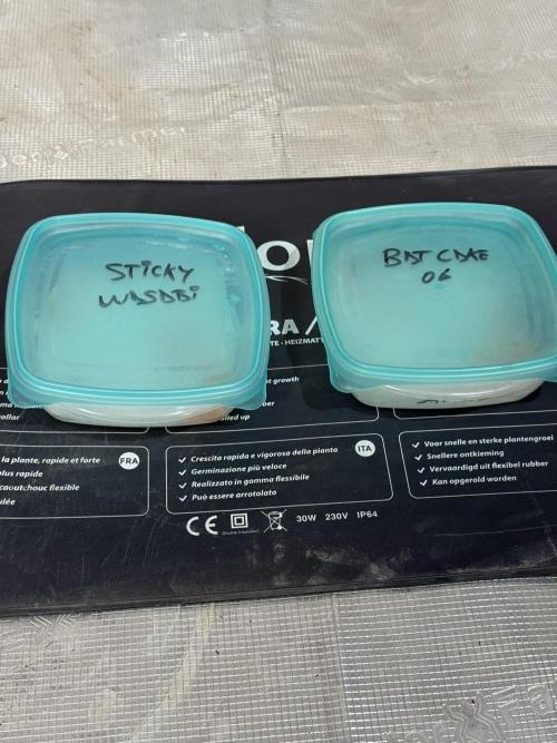 TRIP Sticky Wasabi VS DIP Bat Cake OG. Week 0 - Manta termica