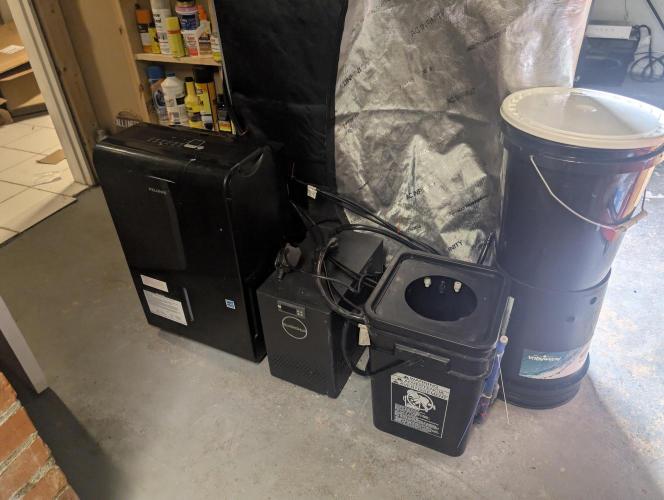 Peach cresendo. Week 0