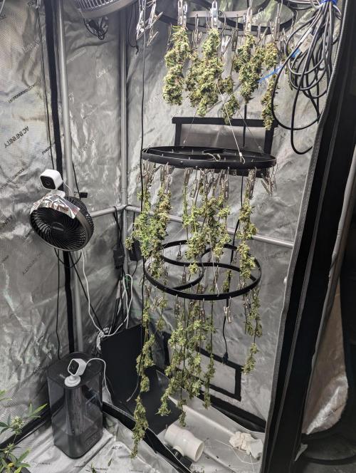 Forbidden Fruit. Week 4