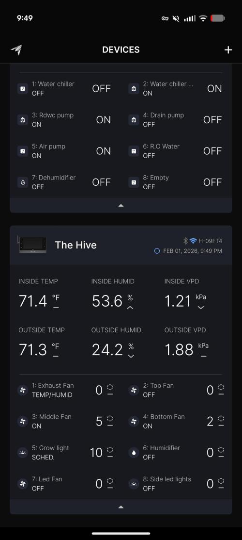 Peach cresendo RF3. Week 6