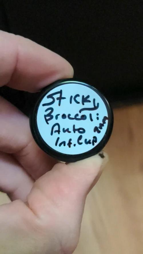 Plagron/Zamnesia Eternity Cup 2026