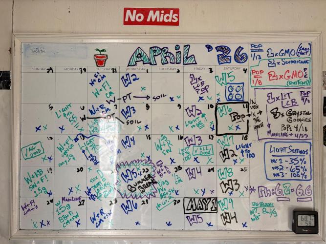 Raw and InHouse Grow 2026. Week 8 - Busy month with 8 growing on 10 different scheds.  I don't recommend it.    
