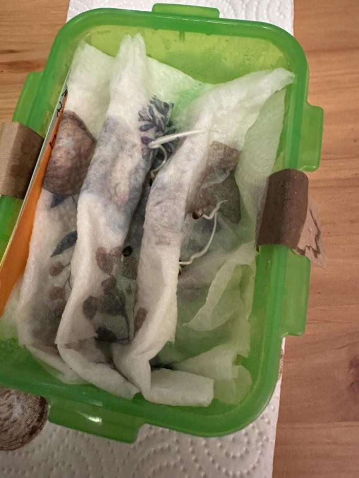 Ganja Farmer Grow. Week 0