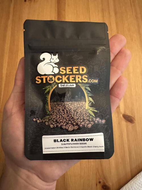 Black Rainbow Auto_Organic Homegrow. Week 0