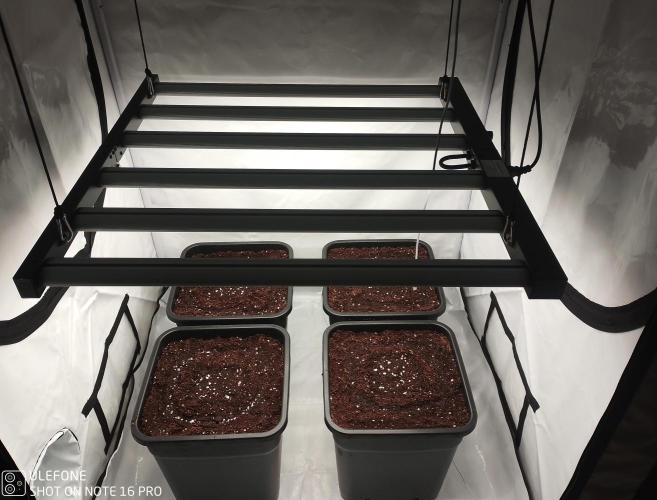 Fastbuds RF3 Mix Pack. Week 0 - Beginn