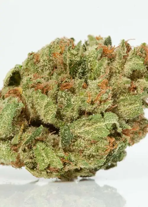 Sour Headband
