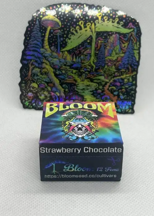 Strawberry Chocolate