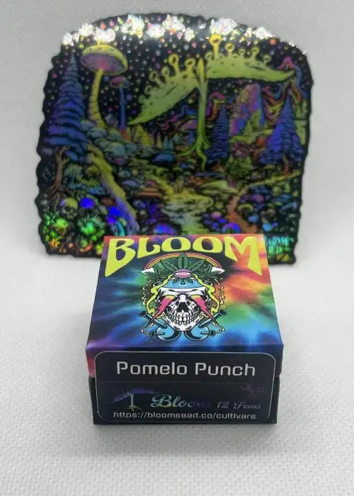 Pomelo Punch