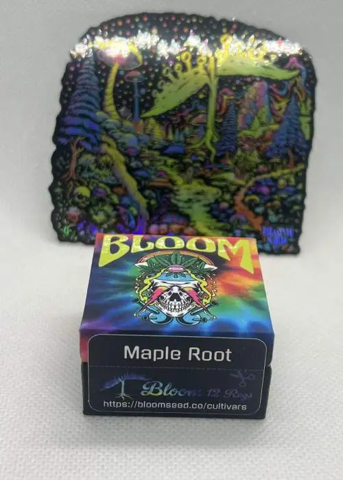 Maple Root
