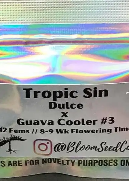 Tropic Sin