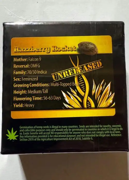 Razzberry Rocket