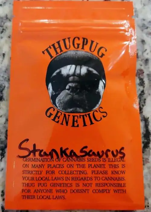Stankasaurus