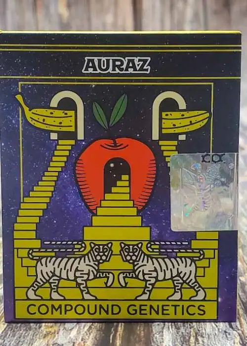 Auraz