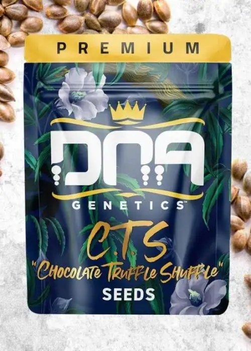 C.T.S Aka Chocolate Truffle Shuffle