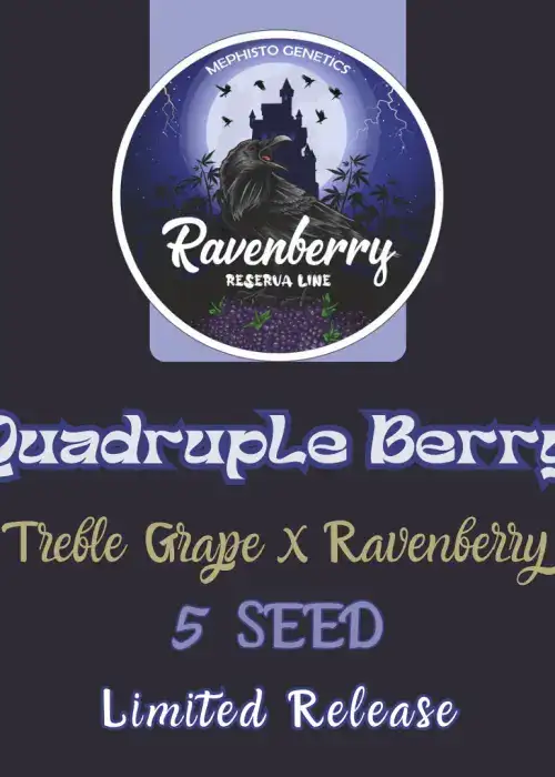 Quadruple Berry Auto