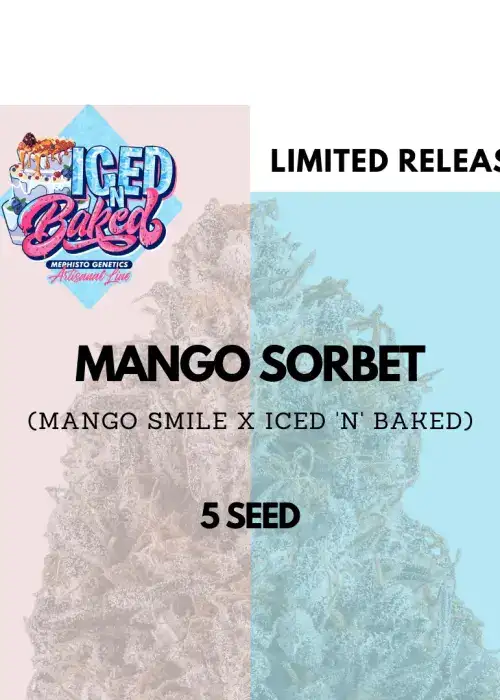 Mango Sorbet Auto