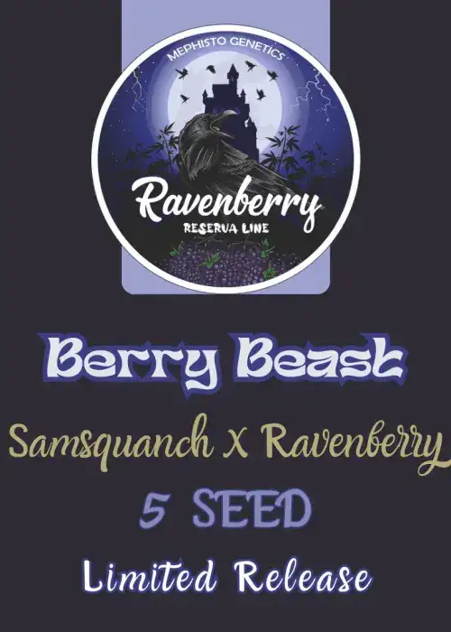 Berry Beast Auto