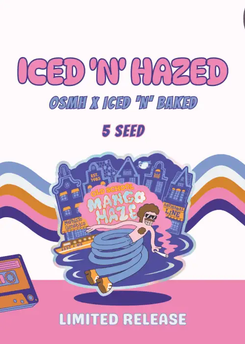 Iced 'n' Hazed Auto