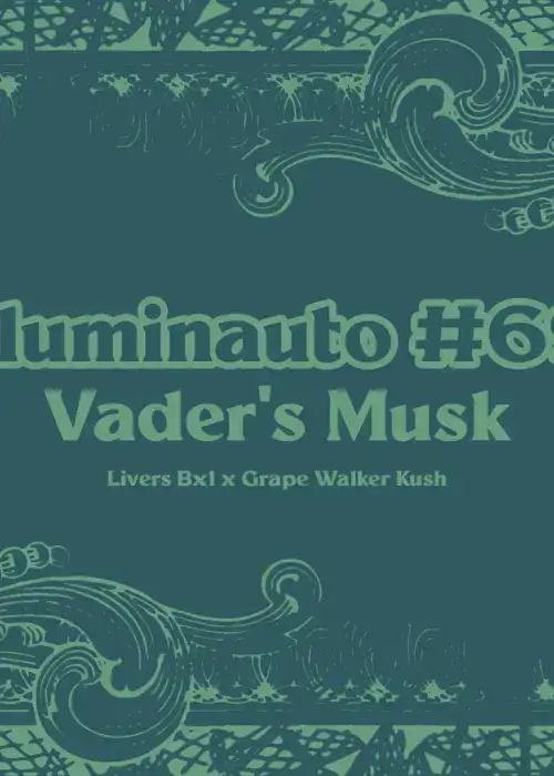 ILL#69 - Vader's Musk Auto