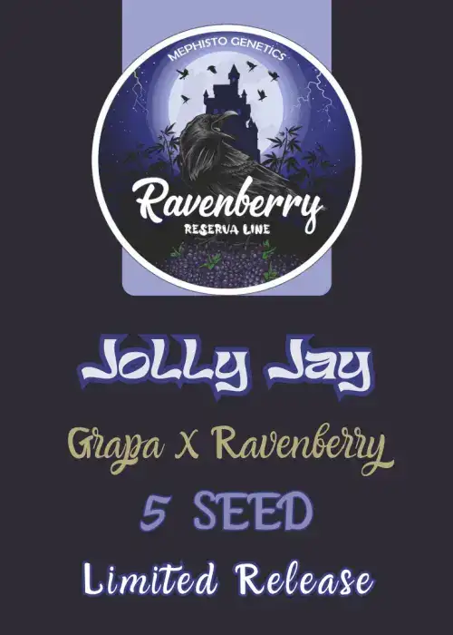 Jolly Jay Auto