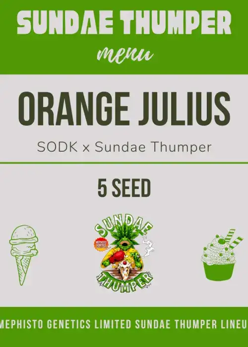 Orange Julius Auto