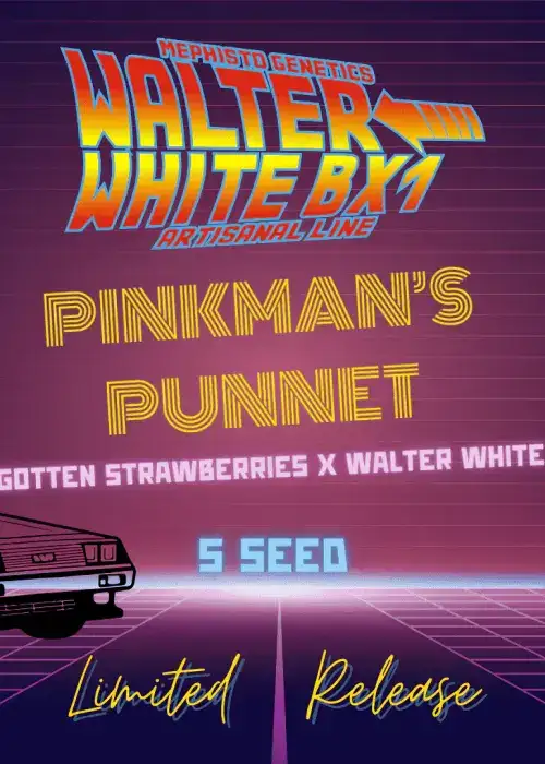 Pinkman's Punnet Auto