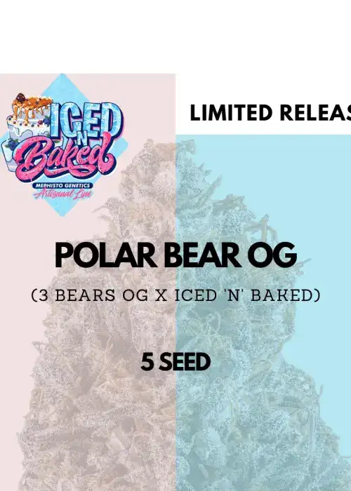 Polar Bear OG